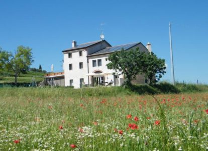 Bed & Breakfast Le Coste - Lazise - Gardasee