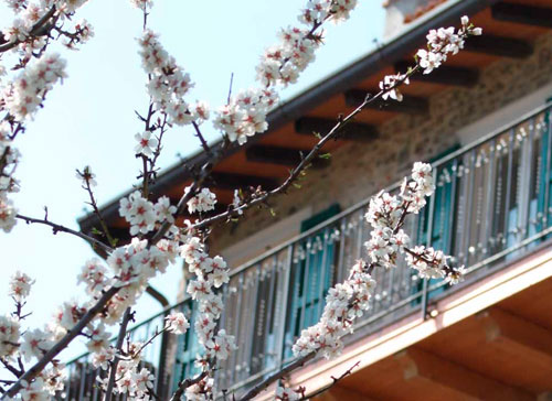 Appartamenti Pilati - Tremosine - Lake Garda